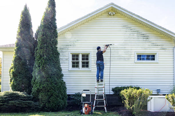 Best Roof Power Washing Services  in Nisswa, MN