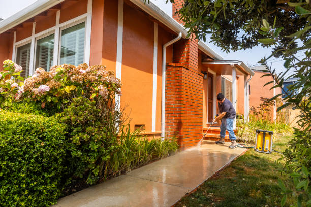 Best Best Pressure Washing Companies  in Nisswa, MN