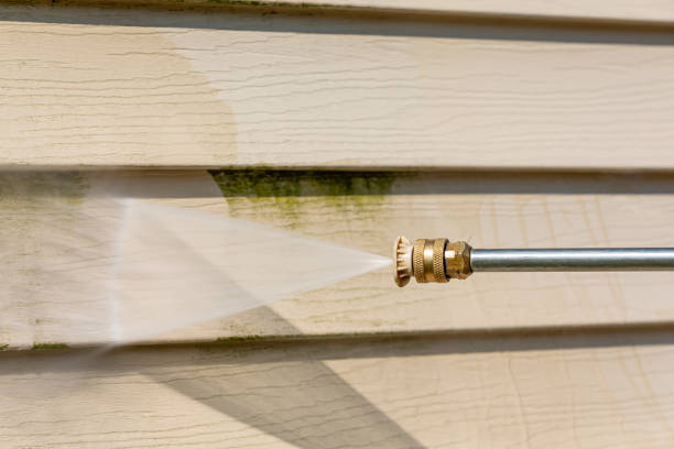 Best Pressure Washing Siding  in Nisswa, MN